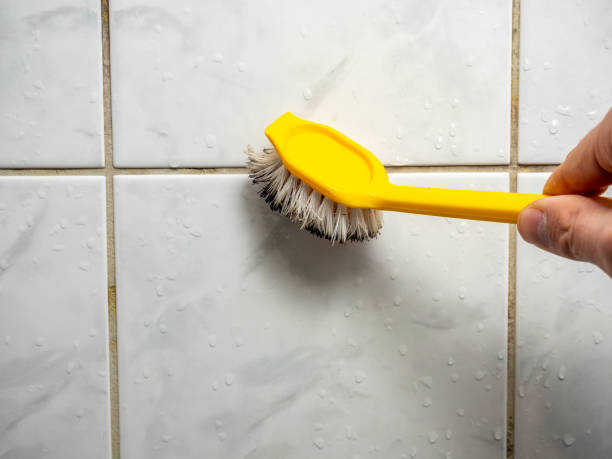 Best Toxic Mold Removal  in Okeechobee, FL